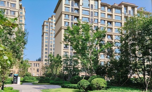 寶通陸號(hào)二期景觀(guān)綠化工程